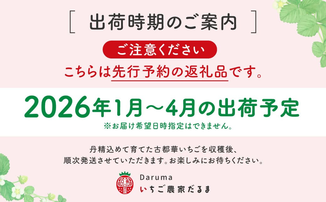 いちご農家 だるま 自慢の古都華いちご🍓是非ご賞味ください！