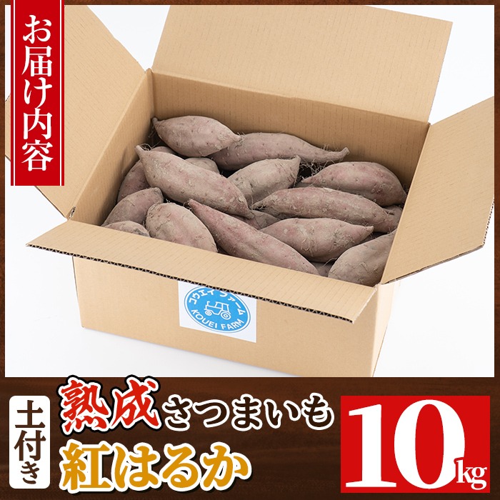 a845 《種類・内容量が選べる》鹿児島県産さつまいも土付き5～10kg(シルクスイート・紅はるか)【コウエイ環境】姶良市 鹿児島県産 さつまいも サツマイモ 熟成芋 さつま芋 シルクスイート 紅はるか 5kg 10kg 生芋