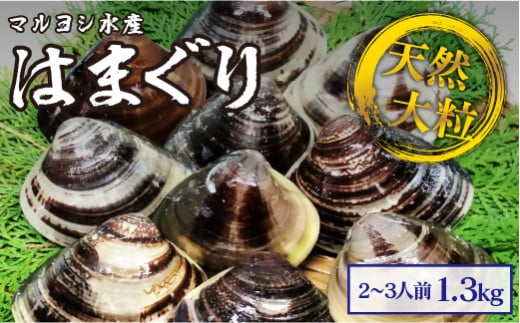 【指定日必須】マルヨシ水産　桑名産大粒天然蛤　1.3kg_はまぐり　ハマグリ　魚介　貝　魚貝　活はまぐり　焼きはま　海鮮　網焼き　酒蒸し　お吸い物　パエリア　パスタ
