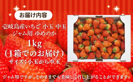 【先行予約】【ジャム用】ゆめのか 1kg 【2027年1月以降順次発送】[JEM007] いちご 苺