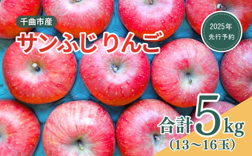 【2025年先行予約】りんご サンふじ 約5kg（13~16玉） 林檎 千曲市 長野県産 信州