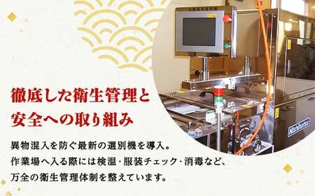 磯の香(味付けのり) 120枚（2パック） 海苔 のり 味付け海苔 有明海産 10切りサイズ プラボトル入り 食品  F6L-1514