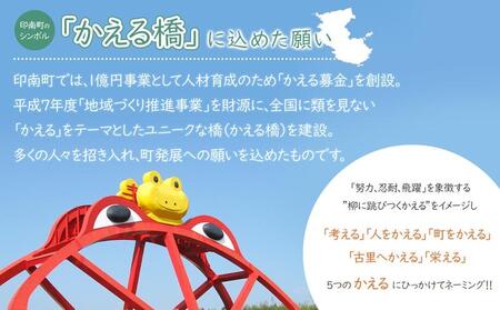 【家庭用】紀州南高梅　はちみつ漬つぶれ梅　2kg