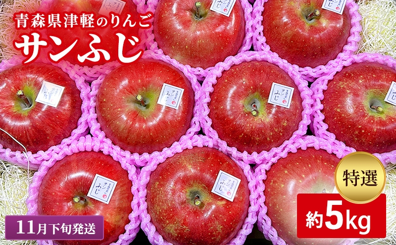 
            【11月下旬発送】【里いちみfarm】青森県津軽のりんご　特選「サンふじ」約5kg
          