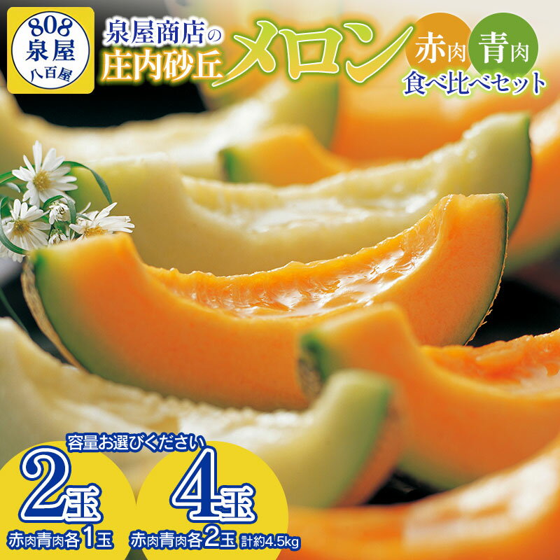 【ふるさと納税】【令和8年産先行予約】泉屋商店の庄内砂丘メロン 赤肉・青肉食べ比べセット　容量お選びください［2玉・4玉］　K-822・K-839