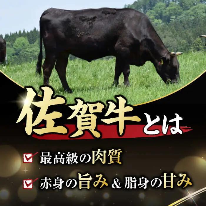 【12回定期便】 佐賀牛 ヒレステーキ 150g×2枚 黒毛和牛 ひれ すてーき[FDB044]