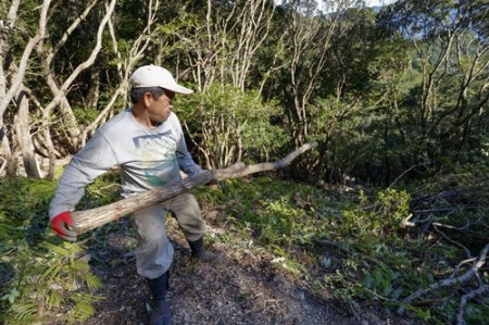 伊勢志摩 備長炭　太長　約1kg／　マルモ 製炭所　BBQ　料理　炭火　七輪　囲炉裏　火鉢　キャンプ