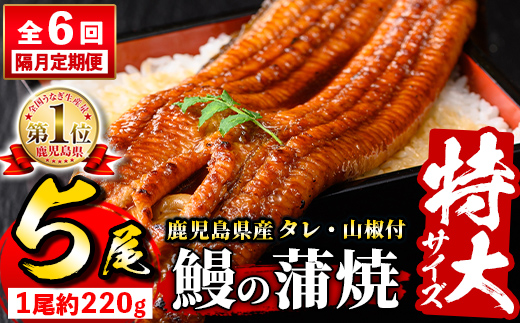 【隔月定期便全6回】＼特大サイズ／ 鹿児島県産 鰻蒲焼真空セット！ 5尾 タレ・山椒付！ 株式会社薩摩川内鰻 《お申込みの翌月から出荷》 鹿児島県 さつま町 送料無料 ウナギ 丑の日 うなぎ 刻み グルメ 特大 鰻 蒲焼 真空---stm-ung-19-ev2mo6---
