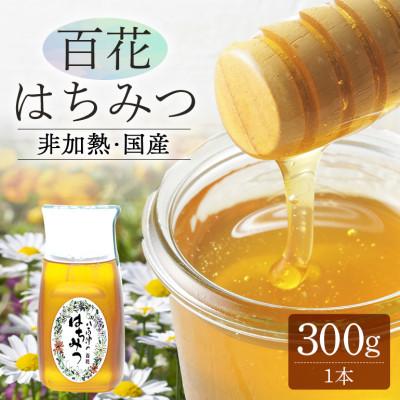 ふるさと納税 八百津町 使いやすいポリ容器入り 非加熱　純粋生はちみつ 百花 300g 1本