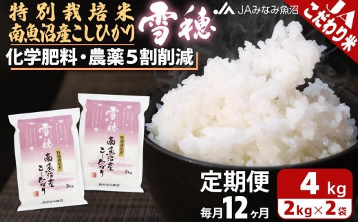 
                  【JAみなみ魚沼定期便】特別栽培米南魚沼産こしひかり「雪穂」（2kg×2袋×全12回）精米 農薬5割削減 精米HACCP認定工場 特A獲得日本一産地 高品質精米 もっちり甘い 南魚沼産コシヒカリ
                