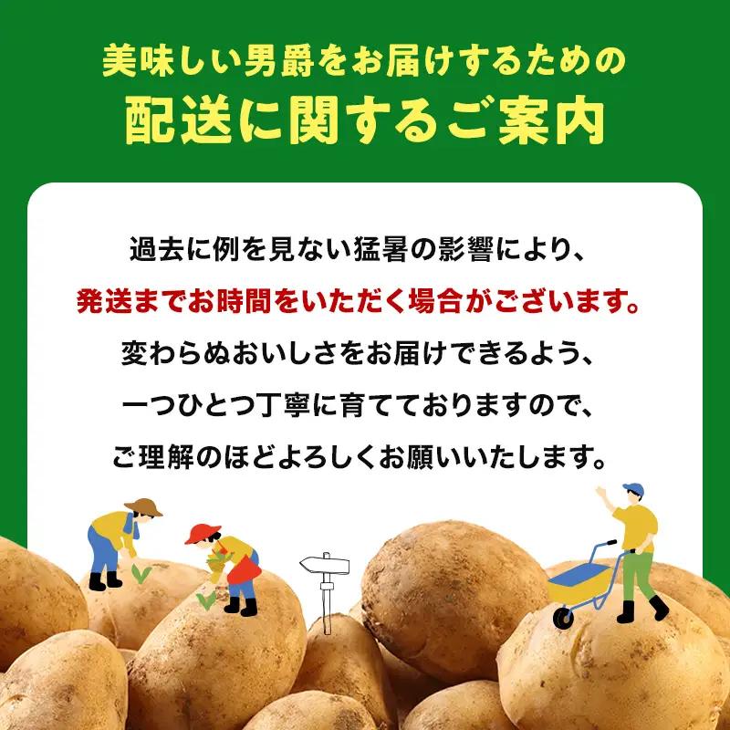 【先行予約】今金町産男爵いも じゃがいも 約10kg [2026年10月下旬以降順次出荷] [F21X-486] じゃがいも