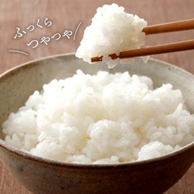 ふるさと納税 境町 【令和7年産】茨城県産 コシヒカリ20kg (10kg×2袋) 白米 JA茨城むつみ こしひかり |  | 01