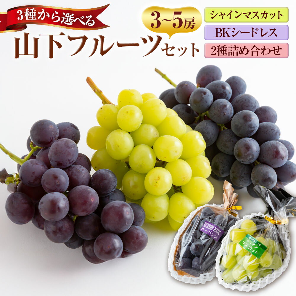 【ふるさと納税】【選べるセット】【先行予約】山下フルーツ シャインマスカット 3房から5房・BKシードレス 3房から5房・シャインマスカットとBKシードレスの詰め合わせ 3房から5房 2025年8月中旬から9月中旬 出荷予定 ぶどう フルーツ 果物 常温 送料無料 福岡県 うきは市
