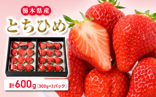 とちひめ　計600g(300g×2パック)【1712831】