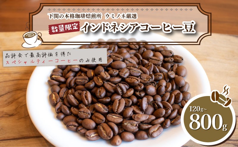 
                  訳あり コーヒー豆 120g ～ 800g (400g×2袋) インドネシア 数量限定 選べる 容量 ( コーヒー 珈琲 出荷当日 自家焙煎 スペシャルティコーヒー ホットコーヒー アイスコーヒー コーヒータイム こだわりコーヒー コーヒー 飲料 ) ウミノネコーヒー 下関 山口
                