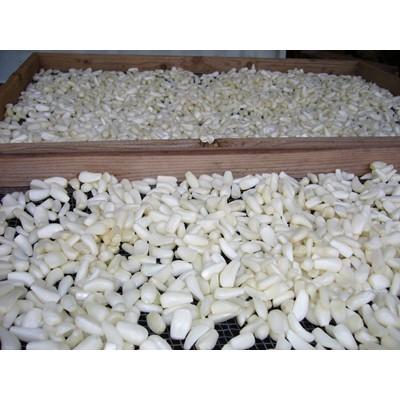 ふるさと納税 白浜町 【自慢の逸品】おばあちゃんの田舎らっきょ1kg |  | 03