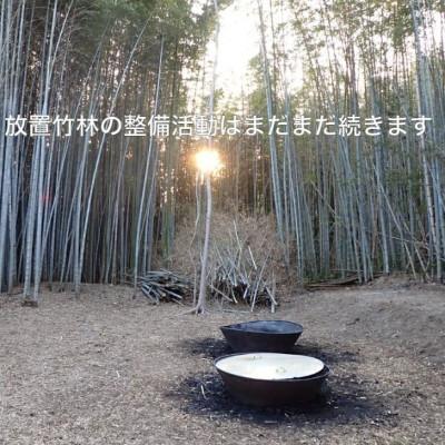 ふるさと納税 養父市 園芸用に ポーラス竹炭10リットル やわらかな多孔質の炭 竹炭の力 |  | 02