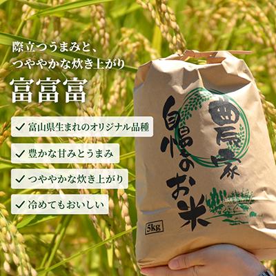ふるさと納税 小矢部市 【新米先行受付(2026年10月上旬から順次発送)】令和8年富山県産「富富富」(精米)10kg×1袋 |  | 01