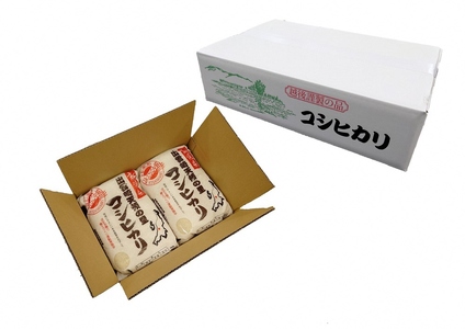 新潟県産 コシヒカリ 10kg 出雲崎 令和7年産 | コシヒカリ 出雲崎町