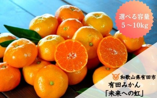 【｢みかん｣感想数でNo.1！】有田みかん「未来への虹」（10kg）
