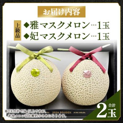 ふるさと納税 香南市 赤肉メロン 青肉メロン 2玉入り 上級品 赤青セット tn-0027 |  | 03