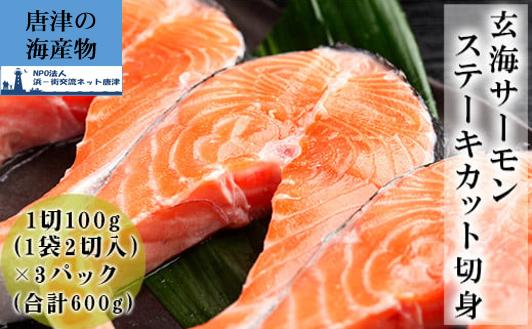 
            玄海サーモンステーキカット切身 200g×3パック
          