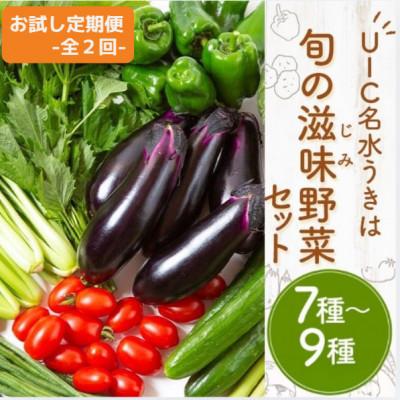ふるさと納税 うきは市 【毎月定期便】【お試し】名水うきは 旬の滋味(じみ)野菜セット　全2回