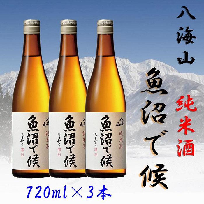 【ふるさと納税】酒 日本酒 セット 3本 × 720ml ( 八海山 純米酒 魚沼で候 ) 箱入り | お酒 さけ 人気 おすすめ 送料無料 ギフト