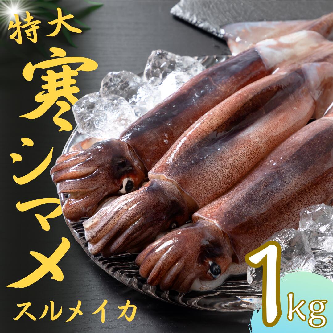 【ふるさと納税】【寒シマメ 特大サイズ 350g-400g 3杯】 1kg以上 いか イカ スルメイカ 朝どれ寒シマメ 母の日 父の日
