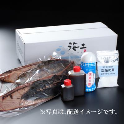 ふるさと納税 室戸市 定期便(3回お届け)訳あり炭焼きかつおのたたき　4節 9〜12人前 冷凍 海土 |  | 03