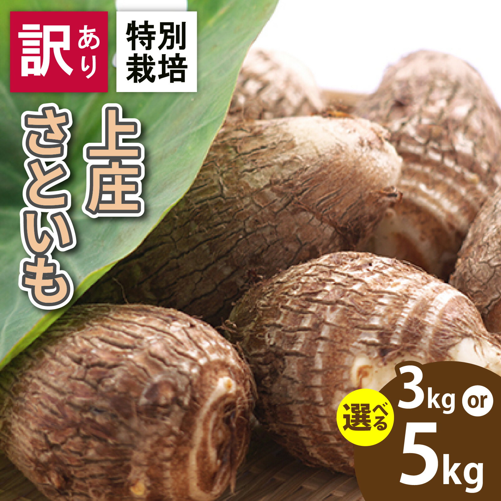 【ふるさと納税】【先行予約】【楽天限定】【訳あり】【選べる容量】上庄さといも 3kg 5kg 規格外 不揃い 減農薬・減化学肥料の特別栽培 農家直送[A-004008] | 楽天限定 訳あり 里芋 さといも 特別栽培 減農薬 SDGs 数量限定 期間限定 大野市 送料無料
