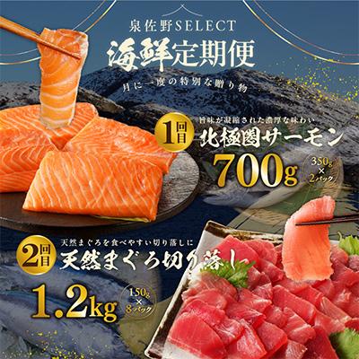 ふるさと納税 泉佐野市 【毎月定期便】泉佐野厳選 豪華海鮮をお届け(サーモン まぐろ かつお 真鯛)全4回 099Z161 |  | 01