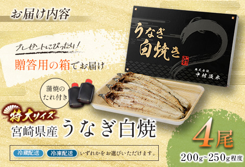 ◇【ANA限定】特大！うなぎ白焼き4尾 合計800g以上 宮崎県産鰻 玄人の一品 熨斗 ギフト対応・配送日指定可【E206】