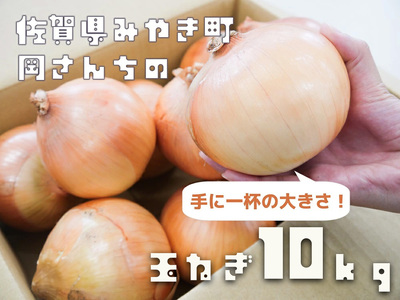 BE023_佐賀県みやき町岡さんちのたまねぎ10kg【２L、３Lサイズ】