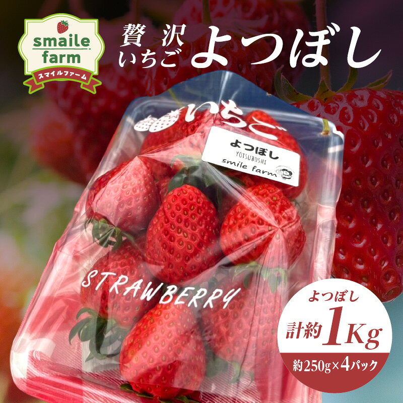 【ふるさと納税】スマイルファーム 贅沢いちご よつぼし 約1kg FAF-0038