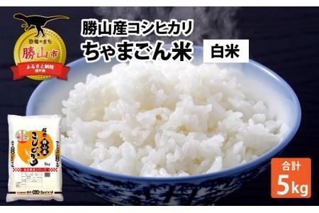 米 コシヒカリ 勝山産 ちゃまごん米 5kg 精米 [A-010004]