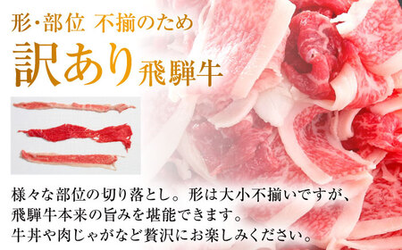 【訳あり】 飛騨牛 切落とし 1kg(500g×2パック) 多治見市 / 飛騨高山ミート MZ035 冷凍 真空パック ブランド和牛[THP026]