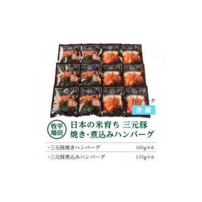 ふるさと納税 酒田市 【平田牧場】日本の米育ち◆三元豚　調理済み・焼きハンバーグ&煮込みハンバーグセット |  | 03