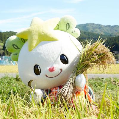 ふるさと納税 陸前高田市 【3ヶ月定期便】　たかたのゆめ 白米 2kg×3ヶ月 (合計6kg) 令和7年産 精米 お米 |  | 03