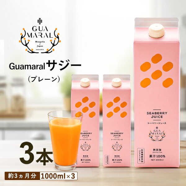 【ふるさと納税】「サジー 100%」ジュース 1,000ml×3本 セット｜サジージュース ジー シーベリー 沙棘 グアマラル 健康ドリンク 健康 美容 栄養 果汁 鉄分補給 栄養補給 健康食品 ギフト 贈答 贈り物 プレゼント お祝 ご褒美 記念日 景品 お歳暮 お中元 飲み物 _DX07