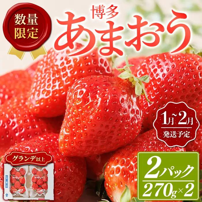 ＜数量限定・先行予約受付中！2027年1月中旬～2月上旬に順次発送＞福岡県産苺「あまおう」グランデ以上(計約540g)いちご 苺 フルーツ 果物 くだもの 福岡限定 家庭用 冷蔵 ＜離島配送不可＞【ksg1893】【hurrah.】