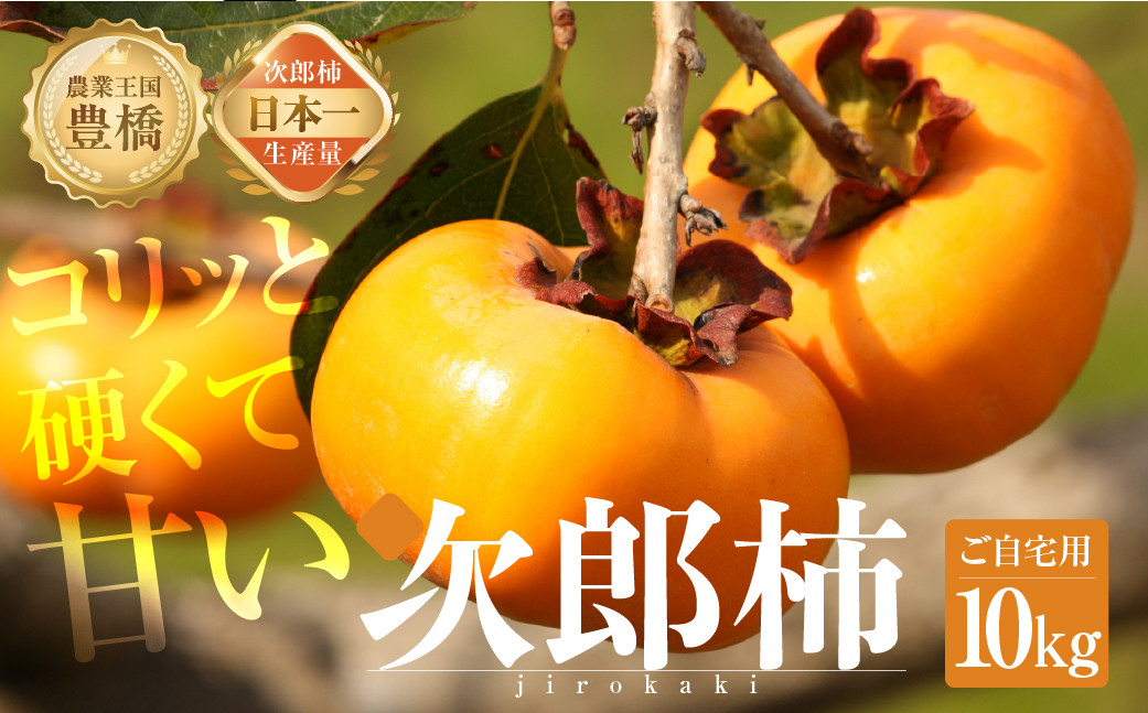 
            ≪先行予約≫ 次郎柿 ご自宅用 10kg (30～50玉)   生産量日本一! 豊橋石巻産  柿 訳あり 不揃い 甘柿 果物 フルーツ 10月 11月 家庭用 ご家庭用 自家用 柿 かき カキ 愛知県 豊橋市 2025年産 2026年産 令和7年産 令和8年産
          