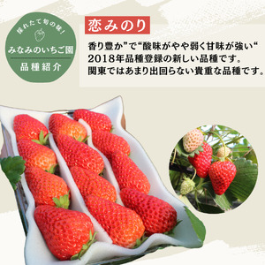 いちご【2027年発送】恋みのり 2パック×280g 完熟いちご