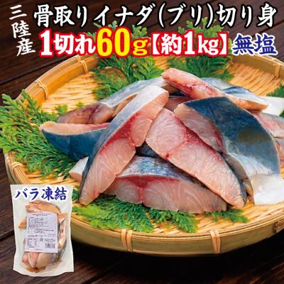 ふるさと納税 普代村 三陸産 骨取り イナダ(ブリ) 鰤 切り身 (無塩・約1kg[60g切り身]) 国産 岩手県産 冷凍