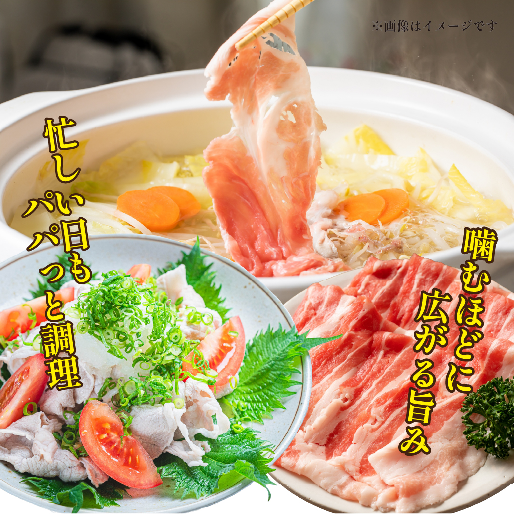 【定期便全3回】主婦の味方定期便(豚バラスライス 豚ロースとんかつ 豚モモウデ切り落とし ロースしゃぶしゃぶ 国産 九州産)