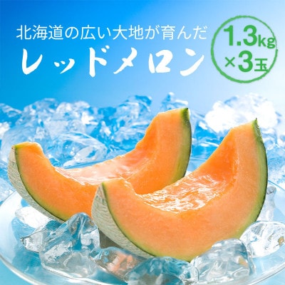 【先行受付】2026年産 北海道赤肉メロン (約1.3kg×3玉)_05409【配送不可地域：離島・沖縄】【1672624】