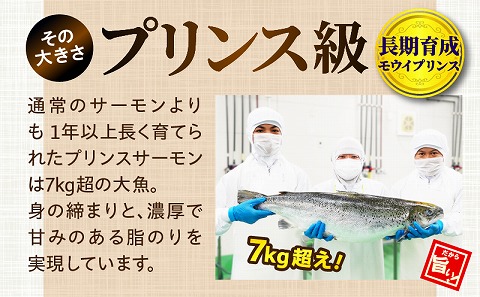 アトランティックプリンスサーモン(プレミアム)1.5kg サーモン 鮭 シャケ 刺身 カルパッチョ