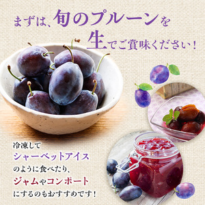 プルーン もり園 北海道産 プルーン【約3kg(500g×6パック)】