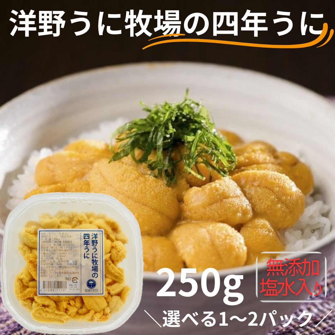 【ふるさと納税】洋野うに牧場の四年うに 250g 選べる1パック,2パック【ミョウバン不使用・無添加】北三陸 塩水うに 天然 雲丹 キタムラサキウニ 生うに 鮮度抜群