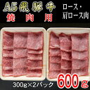 【ふるさと納税】『A5等級』飛騨牛焼肉用600g　ロース又は肩ロース肉【配送不可地域：離島】【1432056】